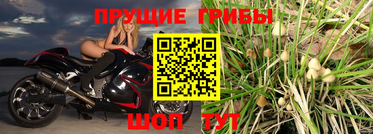 Галлюциногенные грибы мухоморы  Вход с VPN  Балахна 