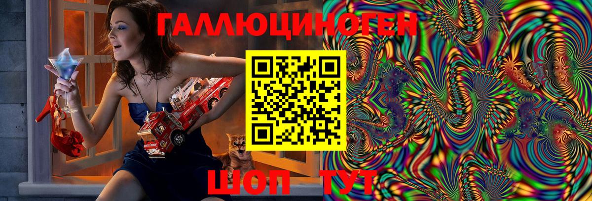 Псилоцибиновые грибы GOLDEN TEACHER Балахна
